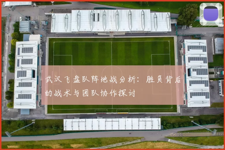 武汉飞盘队阵地战分析:胜负背后的战术与团队协作探讨