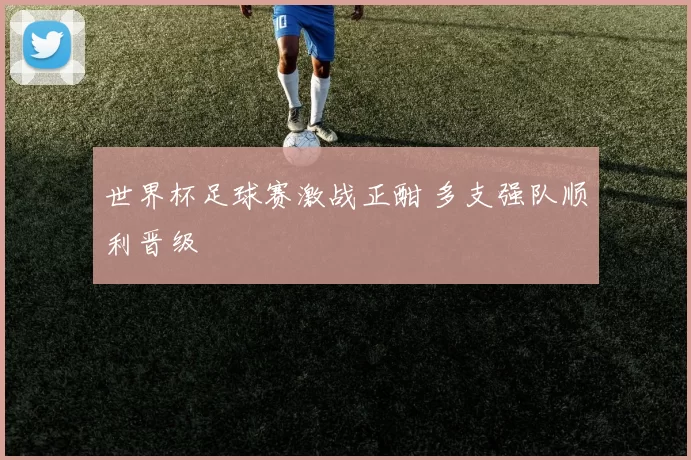 世界杯足球赛激战正酣 多支强队顺利晋级