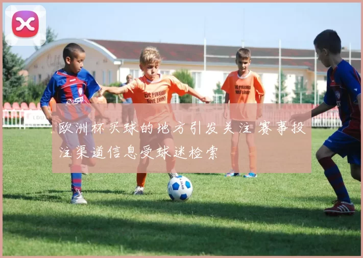 欧洲杯买球的地方引发关注 赛事投注渠道信息受球迷检索