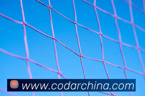 爱游戏APP 封面图